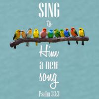 Sing To Him A New Song Psalms 33 3 Sueded Cloud Jersey T-Shirt