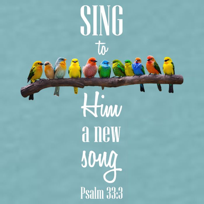 Sing To Him A New Song Psalms 33 3 Sueded Cloud Jersey T-Shirt