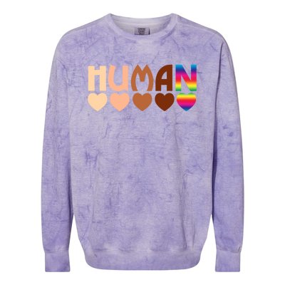 Solidarity Tolerance Hu Heart Equality Blm Pride Great Gift Colorblast Crewneck Sweatshirt