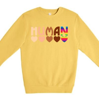 Solidarity Tolerance Hu Heart Equality Blm Pride Great Gift Premium Crewneck Sweatshirt