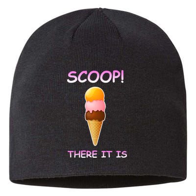 Scoop There It Is Tag Team Funny Ice Cream Pun Sweet Tooth Cute Gift Sustainable Beanie