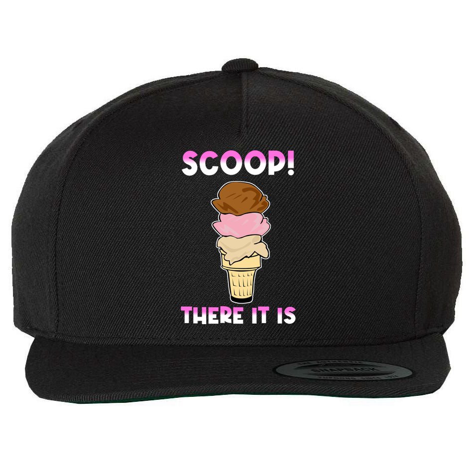 Scoop There It Is Tag Team Funny Ice Cream Pun Sweet Tooth Cute Gift Wool Snapback Cap
