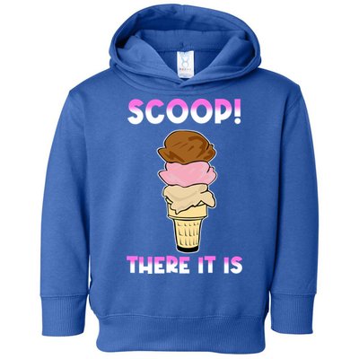 Scoop There It Is Tag Team Funny Ice Cream Pun Sweet Tooth Cute Gift Toddler Hoodie