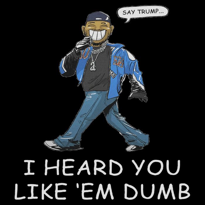 Say Trump I Heard You Like Em Dumb Funny Flat Bill Trucker Hat