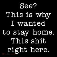 See This Is Why I Wanted To Stay Home Funny Poster