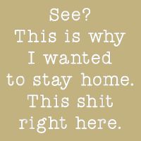See This Is Why I Wanted To Stay Home Funny Magnet