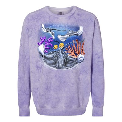 Stingrays Colorblast Crewneck Sweatshirt