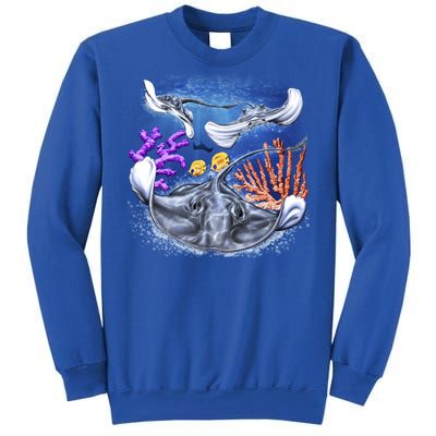 Stingrays Sweatshirt