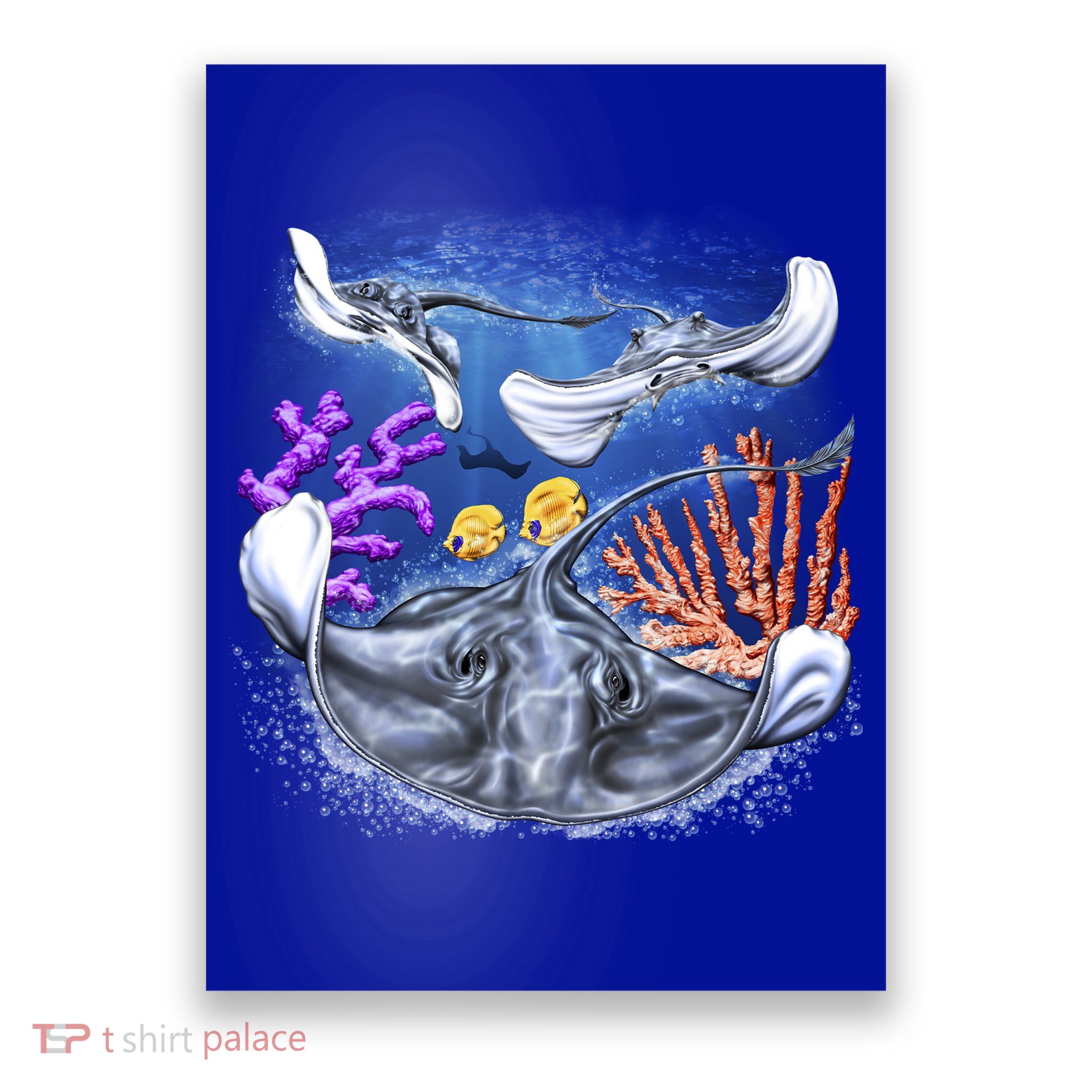 Stingrays Poster