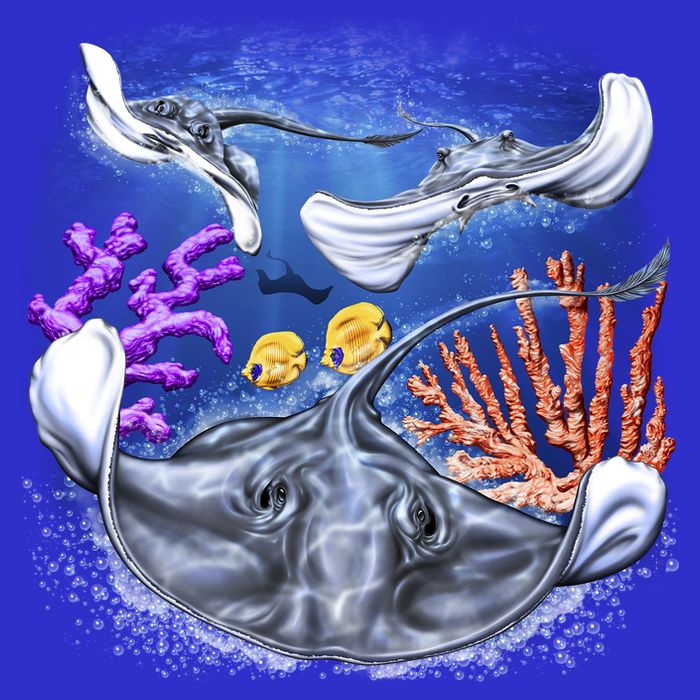 Stingrays Tie-Dye T-Shirt