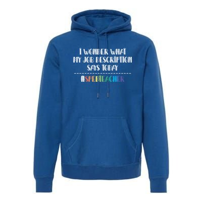 Sped Teacher Job Description Special Education Teacher Gift Premium Hoodie