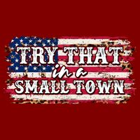 Small Town Leopard Print American USA Flag Cooling Performance Crew T-Shirt