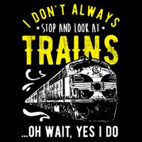 Sayings Train Lovers I Dont Always Stop Look At Train Flexfit Unipanel Trucker Cap