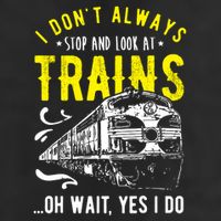 Sayings Train Lovers I Dont Always Stop Look At Train Tumbler