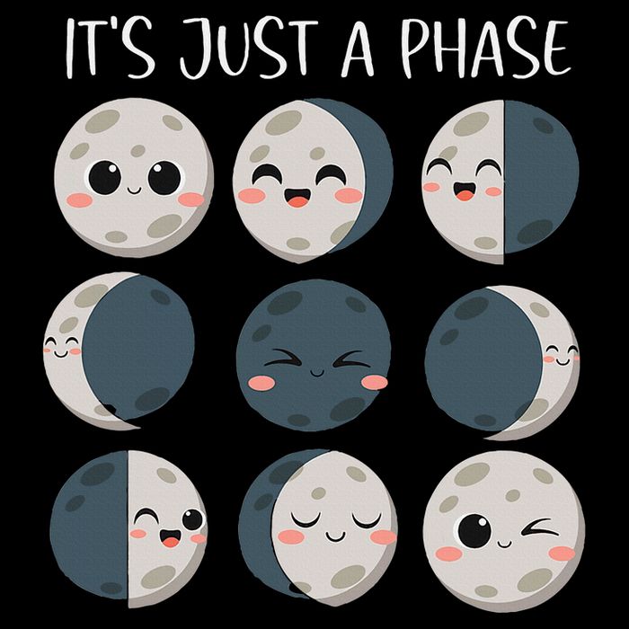 Science Teacher Moon Phases Scientist Cooling Performance Crew T-Shirt