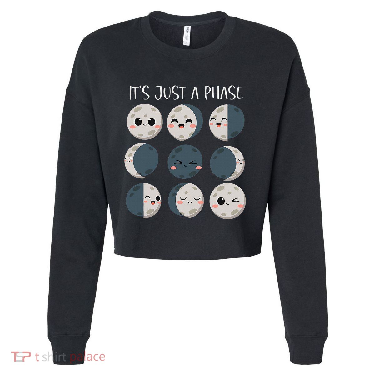Science Teacher Moon Phases Scientist Cropped Pullover Crew