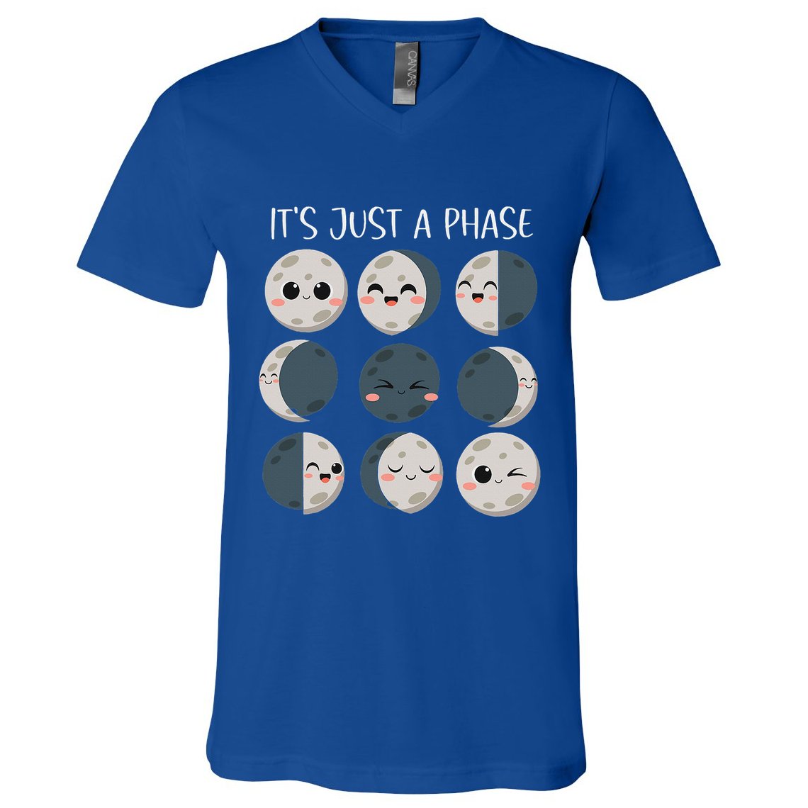 Science Teacher Moon Phases Scientist V-Neck T-Shirt