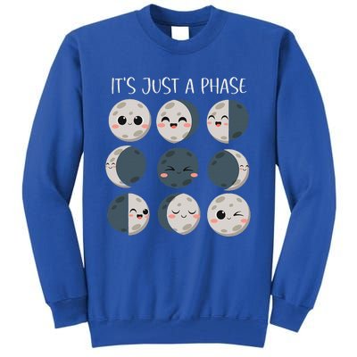 Science Teacher Moon Phases Scientist Tall Sweatshirt