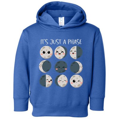 Science Teacher Moon Phases Scientist Toddler Hoodie
