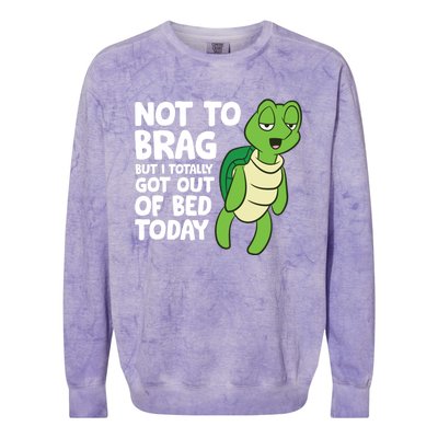 Sea Turtle Not To Brag But I Totally Got Out Of Bed Today Colorblast Crewneck Sweatshirt