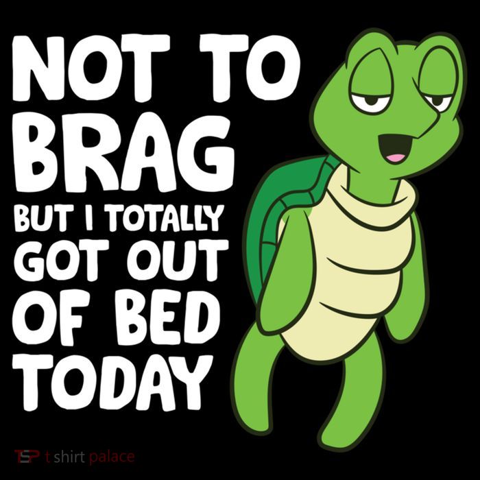 Sea Turtle Not To Brag But I Totally Got Out Of Bed Today T-Shirt