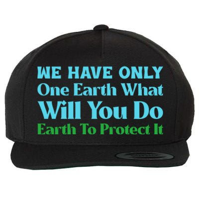 Save The Oceans Marine Life For Environtal Awareness Gift Wool Snapback Cap