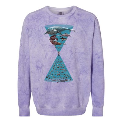 Save The Oceans Colorblast Crewneck Sweatshirt