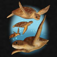 Sea Turtle Ocean Skip A Straw Save A Turtle Gift Ladies PosiCharge Tri-Blend Wicking Tank