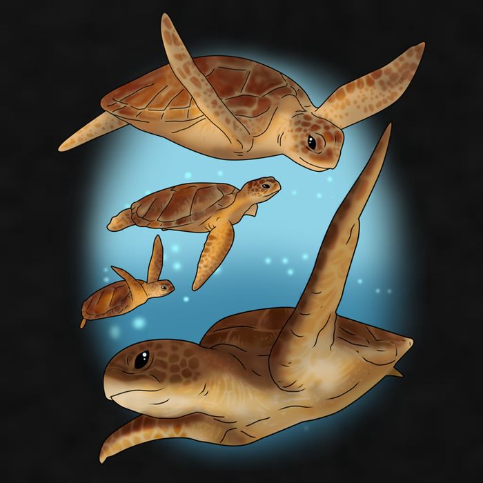 Sea Turtle Ocean Skip A Straw Save A Turtle Gift Ladies PosiCharge Tri-Blend Wicking Tank