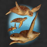 Sea Turtle Ocean Skip A Straw Save A Turtle Gift Cool Comfort Performance Bucket Hat