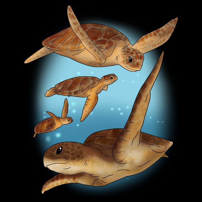 Sea Turtle Ocean Skip A Straw Save A Turtle Gift Performance Shirt