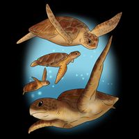 Sea Turtle Ocean Skip A Straw Save A Turtle Gift 7-Panel Snapback Hat