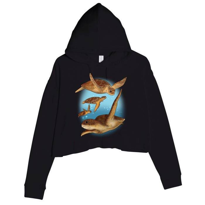 Sea Turtle Ocean Skip A Straw Save A Turtle Gift Crop Fleece Hoodie