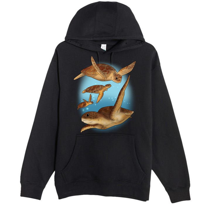 Sea Turtle Ocean Skip A Straw Save A Turtle Gift Premium Pullover Hoodie