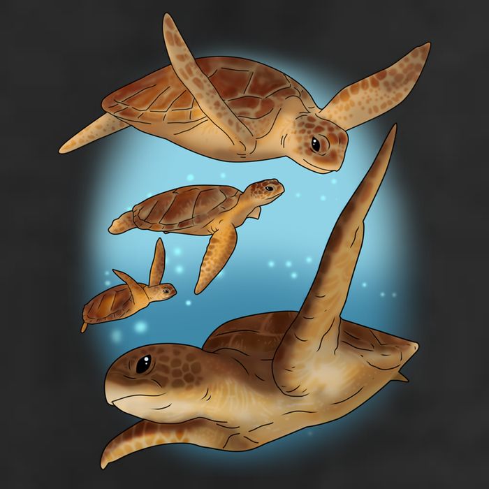 Sea Turtle Ocean Skip A Straw Save A Turtle Gift Premium Pullover Hoodie