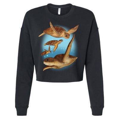 Sea Turtle Ocean Skip A Straw Save A Turtle Gift Cropped Pullover Crew