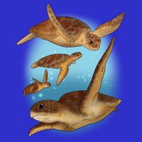 Sea Turtle Ocean Skip A Straw Save A Turtle Gift Hoodie