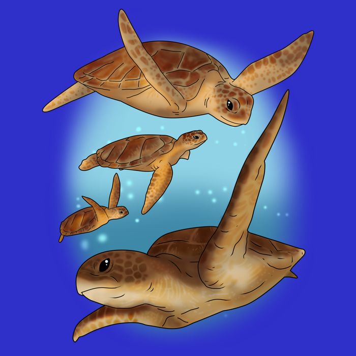 Sea Turtle Ocean Skip A Straw Save A Turtle Gift Hoodie
