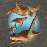 Sea Turtle Ocean Skip A Straw Save A Turtle Gift Cotton Canvas Backpack