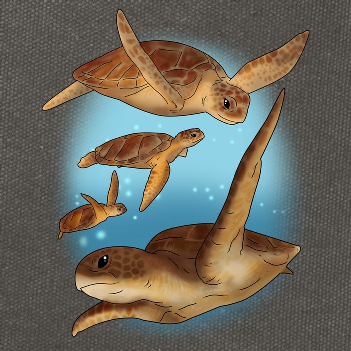 Sea Turtle Ocean Skip A Straw Save A Turtle Gift Cotton Canvas Backpack