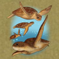 Sea Turtle Ocean Skip A Straw Save A Turtle Gift Garment-Dyed Women's Muscle Tee