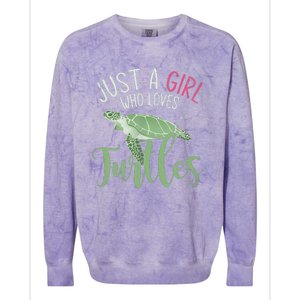 Sea Turtle Ocean Animal Wo Girl Gift Turtle Colorblast Crewneck Sweatshirt