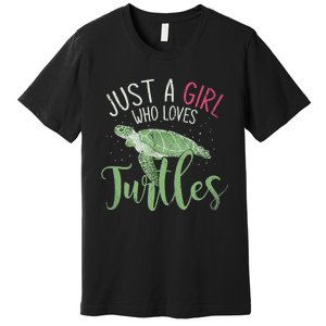 Sea Turtle Ocean Animal Wo Girl Gift Turtle Premium T-Shirt