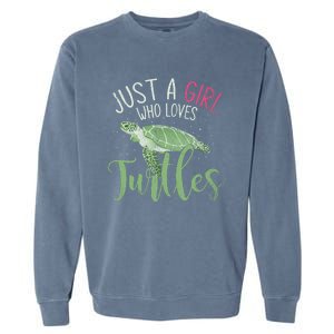 Sea Turtle Ocean Animal Wo Girl Gift Turtle Garment-Dyed Sweatshirt