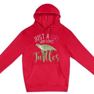 Sea Turtle Ocean Animal Wo Girl Gift Turtle Premium Pullover Hoodie