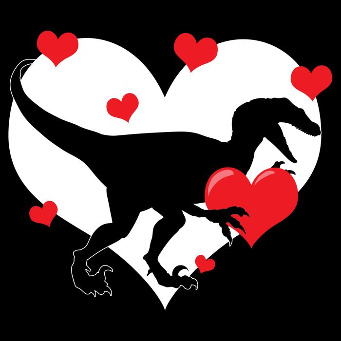 Stole My Heart Cute Dinosaur Sweatshirt