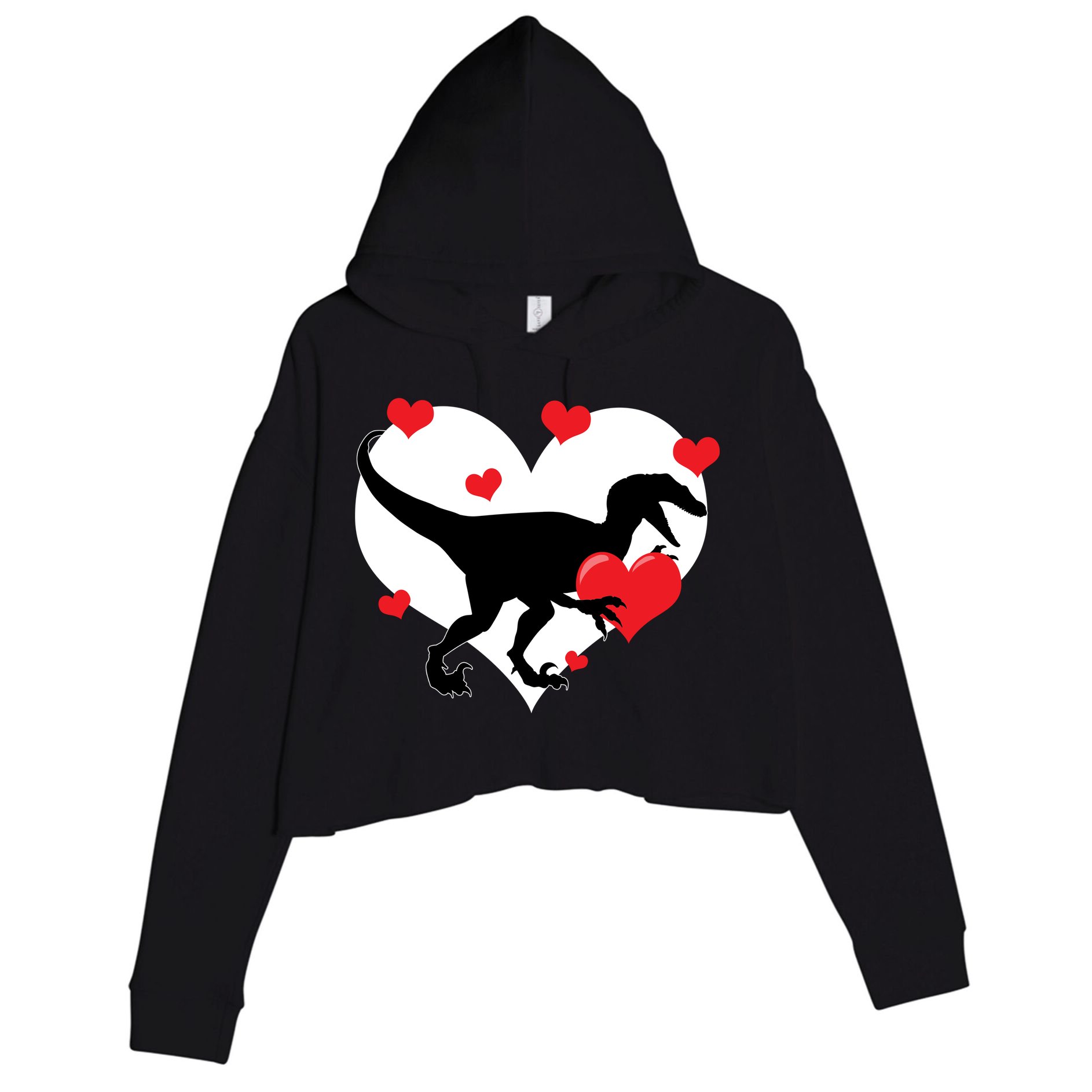 Stole My Heart Cute Dinosaur Crop Fleece Hoodie