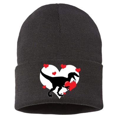 Stole My Heart Cute Dinosaur Sustainable Knit Beanie