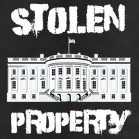 Stolen Property White House 11oz C Handle Ceramic Mug