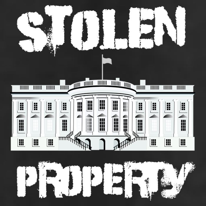 Stolen Property White House 11oz C Handle Ceramic Mug